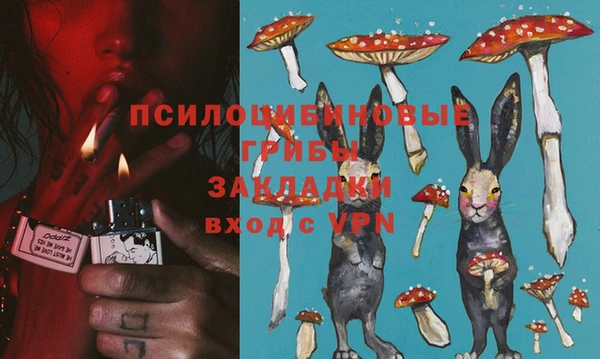spice Баксан