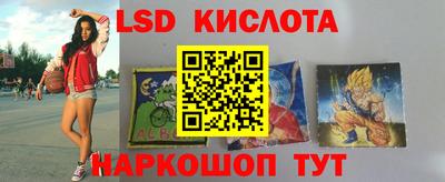 Альфа ПВП Кудрово