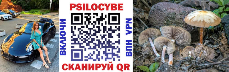 наркота  Заречный  Галлюциногенные грибы Magic Shrooms 