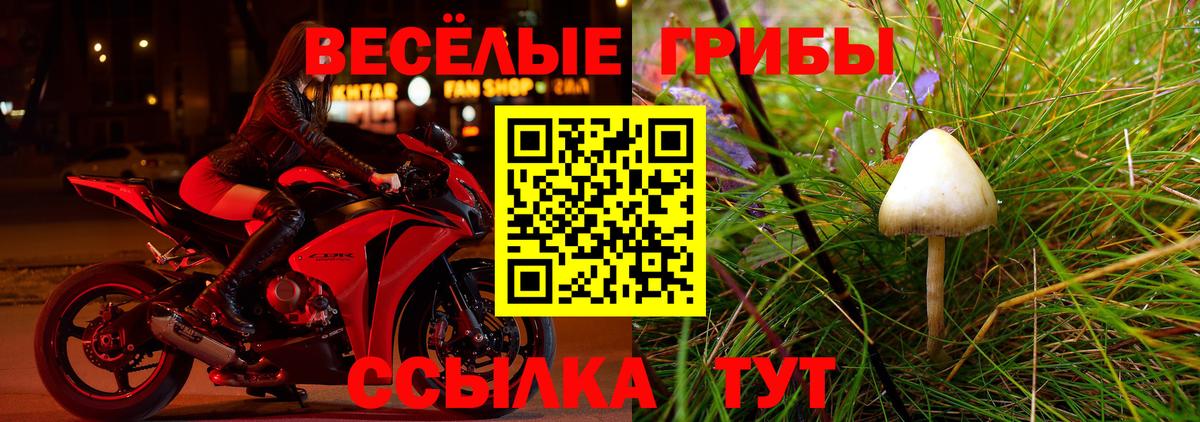 Псилоцибиновые грибы мухоморы  Вход с VPN  купить   Заречный 
